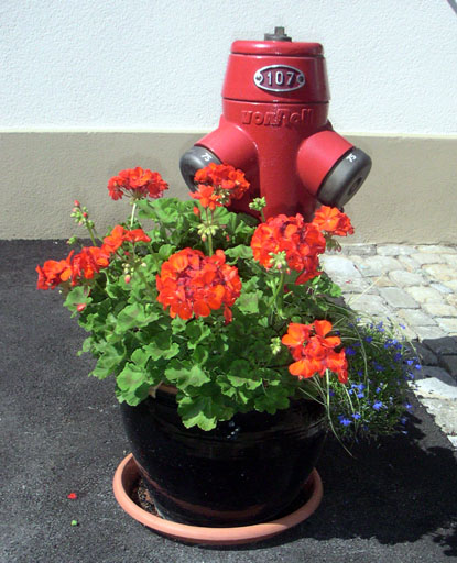 b0038588_2031427.jpg