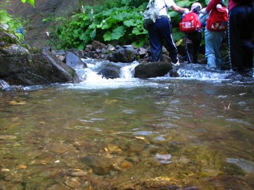 f0020302_1418482.jpg
