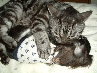 a0079803_1285826.jpg