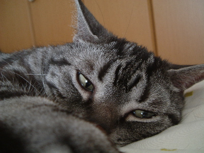 a0079803_1293964.jpg