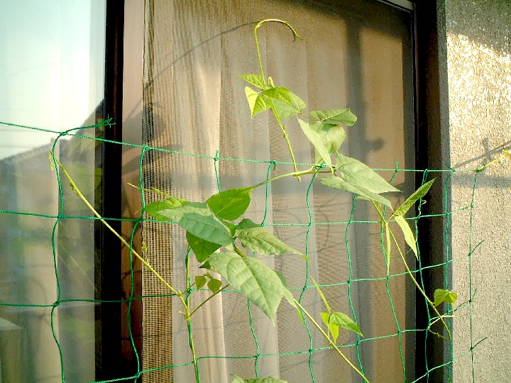 f0043911_1291840.jpg