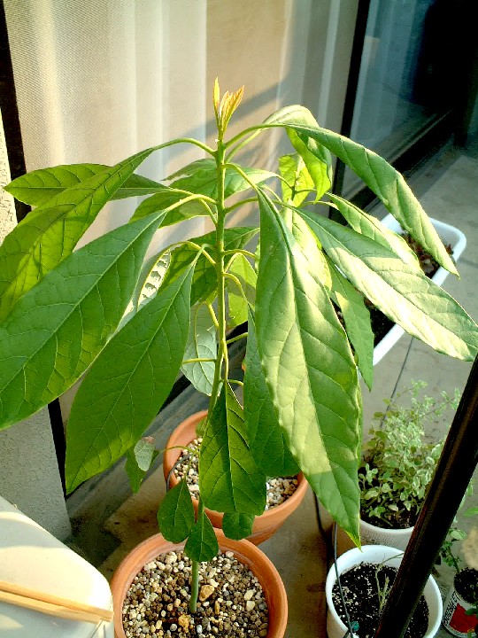 f0043911_1293877.jpg