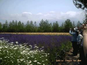 d0038319_945787.gif