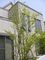 e0044919_835378.jpg