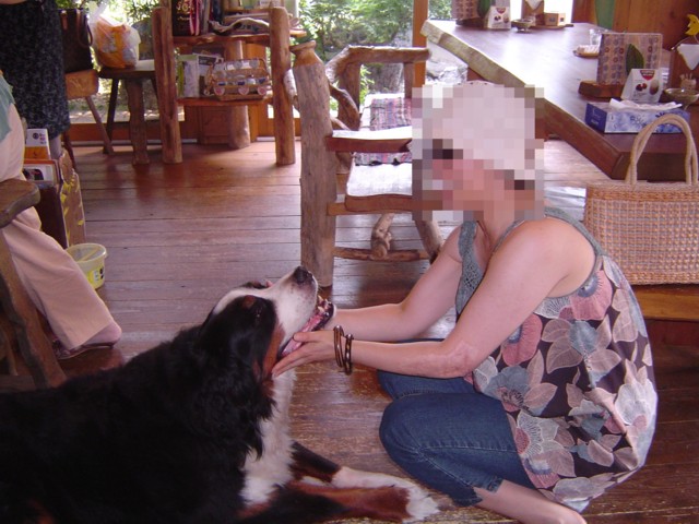 f0012924_4494284.jpg