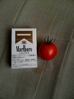 a0062133_14404430.jpg