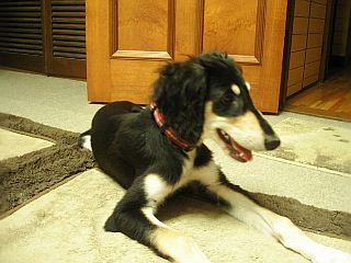 f0039538_22355192.jpg