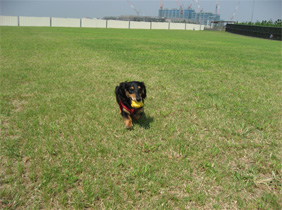 f0098841_2205270.jpg