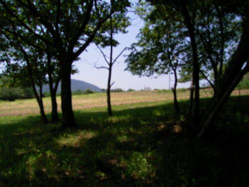 c0072843_1985085.jpg