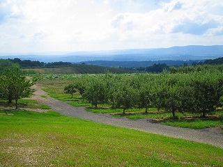 a0040554_13403517.jpg