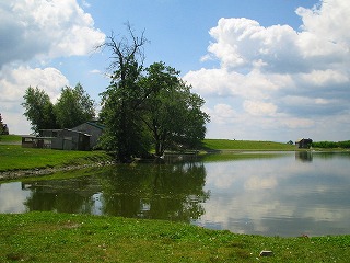 a0040554_13514165.jpg