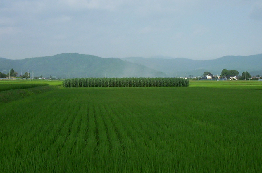 a0029157_1631585.jpg