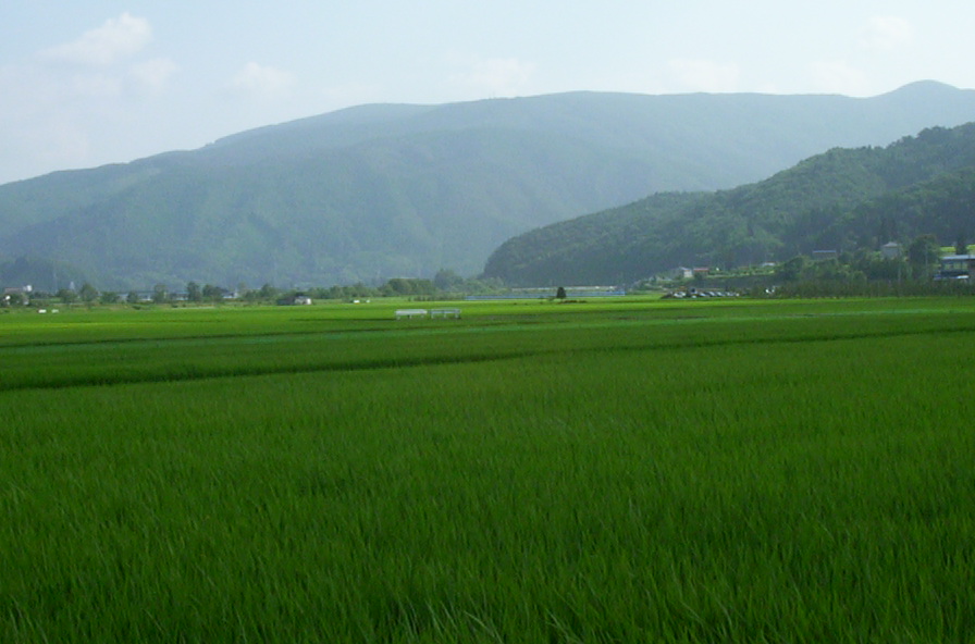 a0029157_164043.jpg