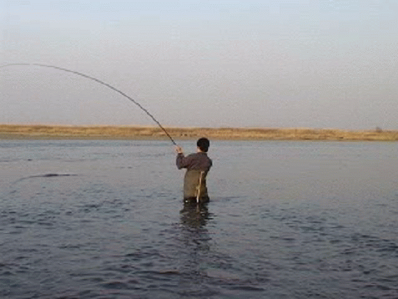f0084561_13374040.gif