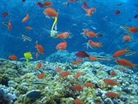 b0062363_18373110.jpg