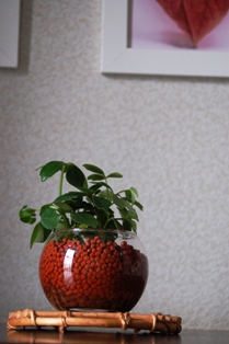 f0065768_17593413.jpg