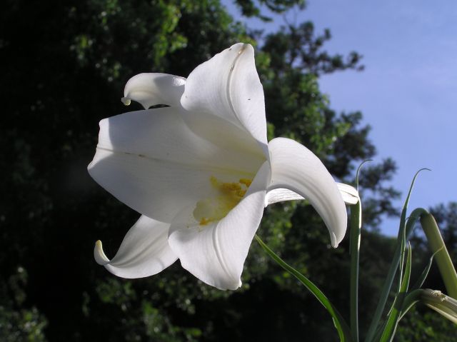 c0042869_17175911.jpg