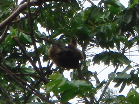 b0022570_94118.jpg
