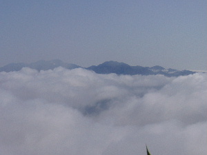 d0058870_730452.jpg