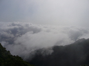 d0058870_7452695.jpg