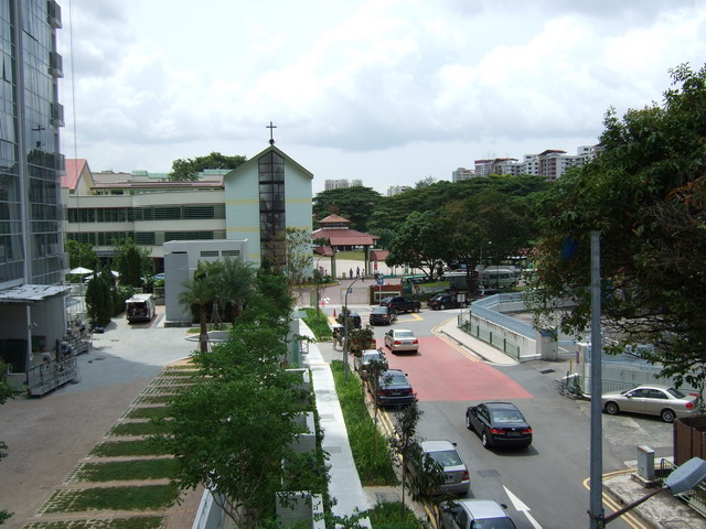 a0002177_2331036.jpg