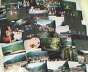 d0015489_1444364.jpg