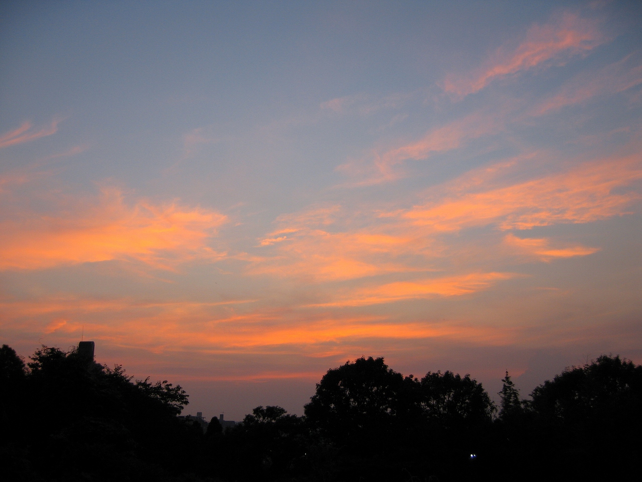 b0092694_1925314.jpg