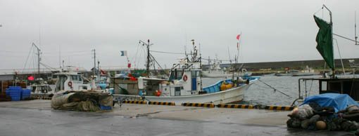 e0054299_1336982.jpg