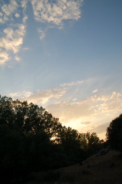 e0061699_71276.jpg