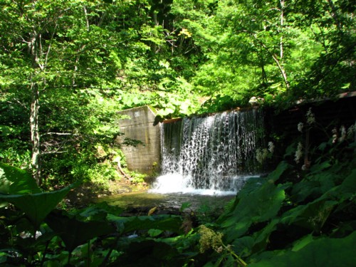 f0020302_13192485.jpg
