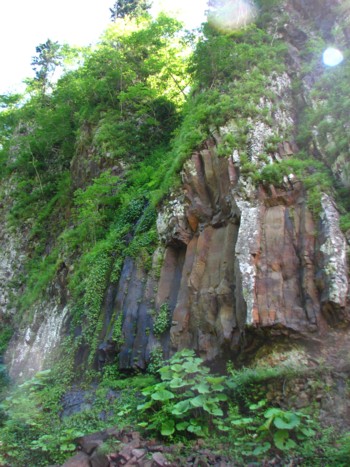 f0020302_13211835.jpg