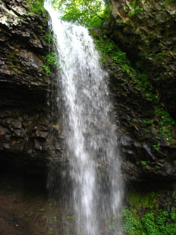f0020302_1325271.jpg
