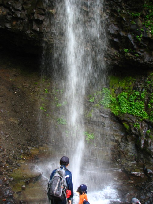 f0020302_132875.jpg