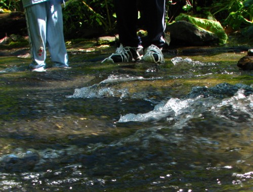 f0020302_1392426.jpg
