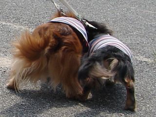 b0044804_17145056.jpg
