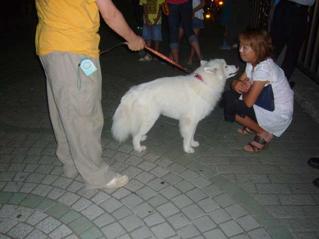 e0018604_120308.jpg