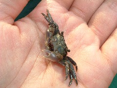 b0071405_22454182.jpg
