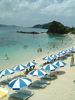 c0039205_193161.jpg