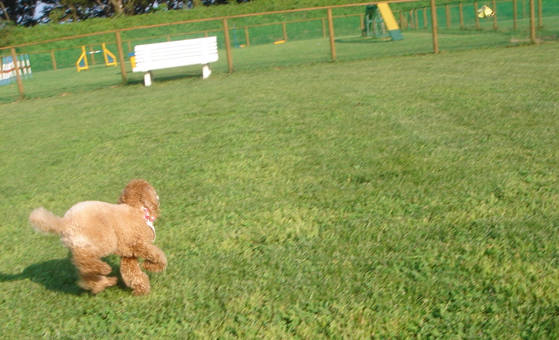 c0041207_13525315.jpg