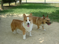 e0007313_14551225.jpg
