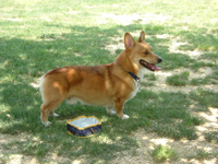 e0007313_14562047.jpg