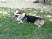 e0007313_14572725.jpg