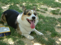 e0007313_1507100.jpg