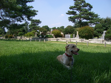 c0083618_21523246.jpg