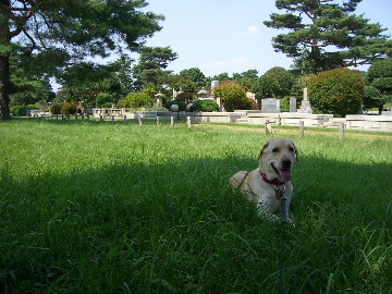 c0083618_2153663.jpg