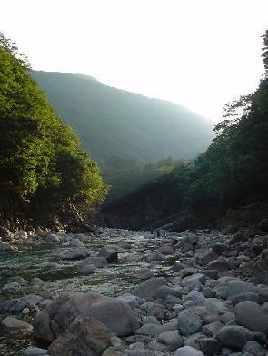 a0072319_203227.jpg