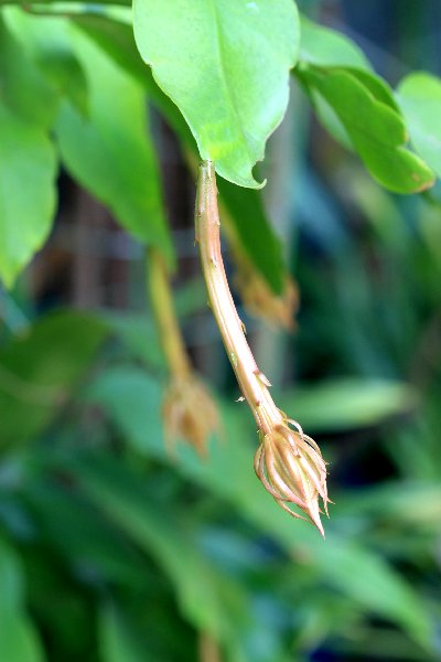f0031423_9495093.jpg