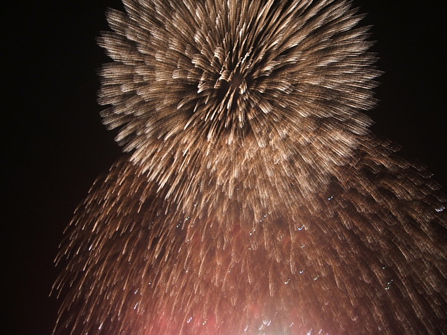 f0103923_156197.jpg