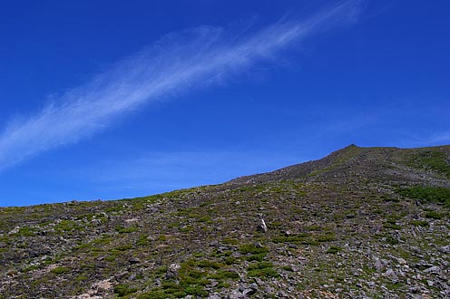 e0025030_21303486.jpg