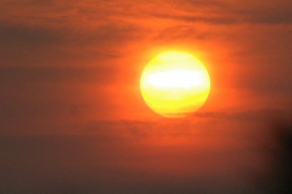 a0017634_2381610.jpg